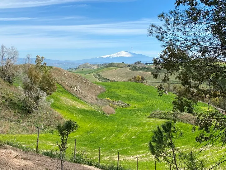 Nature view